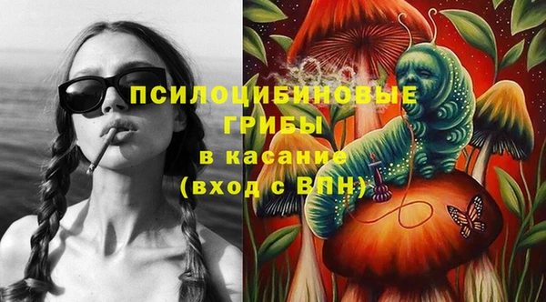 гидра Медногорск