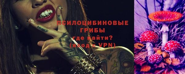 гидра Медногорск