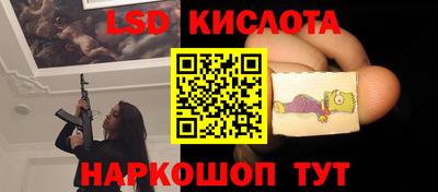 гашик Аргун