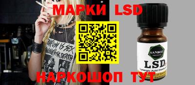 гашик Аргун