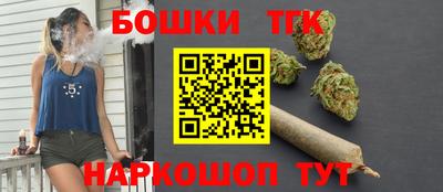 гашик Аргун