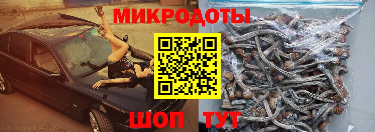 Биробиджан  Галлюциногенные грибы ЛСД  Вход с VPN 